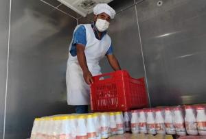 CITE Agroindustrial Majes produce 23.838 unidades de yogur para escolares de Qali Warma