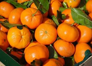 Comercialización mundial de mandarina alcanzó los US$ 5.500 millones en 2020