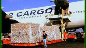 ComexPerú: aumentan notablemente los volúmenes de arándanos mandados por vía aérea desde Perú