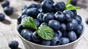 Complejo Agroindustrial Beta despachó 1,897 contenedores de arándanos en 2025