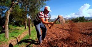 Comunidad Andina presentará la Agenda Agropecuaria Andina