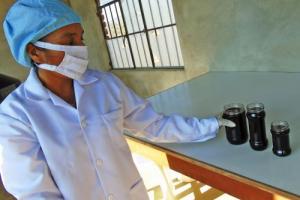 Comunidad campesina Cury Lagartos impulsará producción de algarrobina orgánica