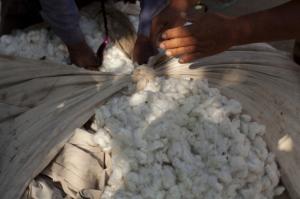 Con sistemas ancestrales de siembra de agua y revaloración del algodón, la industria textil peruana entra en la economía circular