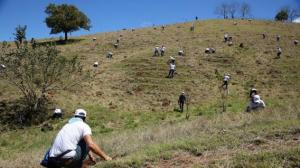 Con viejas recetas naturales, un español reforesta la Amazonía peruana
