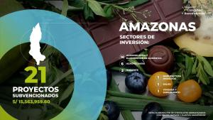 Concytec financia más de S/ 15 millones en el desarrollo de la competitividad en Amazonas