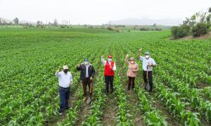 Congreso aprueba la creación del Ministerio de Desarrollo Agrario y Riego