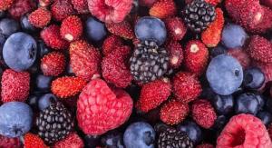 Congreso de la República aprobó “Ley que declara de interés nacional la producción, exportación e industrialización de los frutos del bosque – Berries”