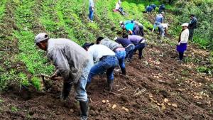 Congreso de la República aprueba programa de rescate financiero para agricultores afectados por la crisis hídrica