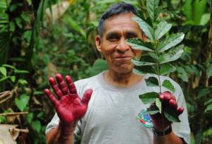 Conoce las cinco nuevas áreas de conservación privada reconocidas en Cusco y Madre de Dios