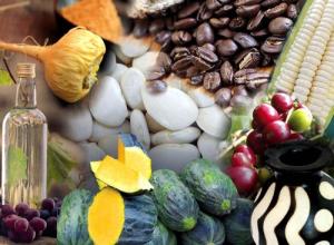 Conozca los productos emblemáticos de Cusco para exportación