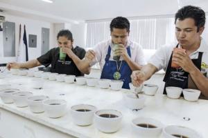 CONOZCA LOS RESULTADOS DEL X CONCURSO DE CAFÉS DE CALIDAD 