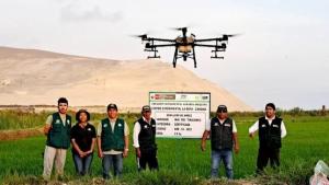 Conservan calidad genética de cultivo de arroz con cámaras espectrales en Arequipa