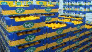 Consorcio de Productores de Fruta proyecta crecer 15% en facturación  este año