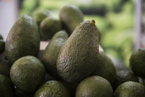 Consorcio europeo interesado en productos agrícolas de Áncash