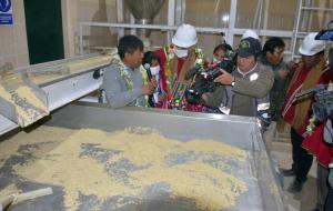 Construirán cuatro plantas procesadoras de quinua en Apurímac
