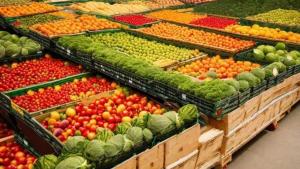 Consumo de hortalizas frescas en España desciende -2.6% en 2023 y -14% en los últimos cinco años
