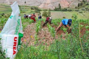 Conveagro: Subvención de 250 millones para agricultura familiar es un avance