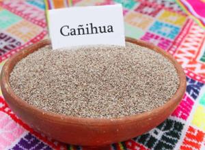 COOPAIN-CABANA COLOCARÁ PRIMERAS 10 TONELADAS DE CAÑIHUA ORGÁNICA EN ITALIA