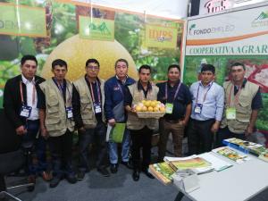 Cooperativa agraria El Paraíso comercializó 475 toneladas de granadilla en la campaña 2017/2018