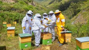 Copeapi realizará curso de capacitación apícola “Crianza de abejas y productos apícolas”