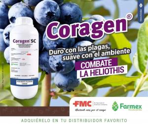 Coragen SC, insecticida eficiente en el control de plagas y selectivo con los insectos benéficos