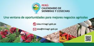 Crean aplicativo móvil para acceder a calendario de siembras y cosechas