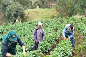 Crean “Grupo de Trabajo Sectorial de Planeamiento Estratégico del Sector Agrario y de Riego”