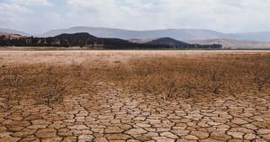 Crece riesgo de escasez de alimentos debido al cambio climático