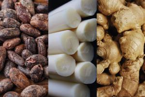 Crecen envíos al exterior de cacao, jengibre y palmito entre enero y agosto de 2023