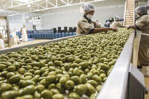 ¿Cuáles fueron los productos claves de agroexportación peruana en Brasil el año pasado?