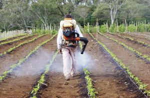 Cultivida anunció firma de convenio para incineración de productos agroquímicos