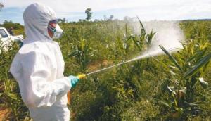 CultiVida capacita a 27 mil agricultores al año sobre el uso correcto de productos fitosanitarios