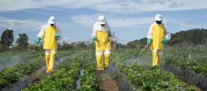 CultiVida desarrollará capacitaciones por el uso responsable de los productos fitosanitarios