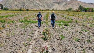 Cultivida: Escasez de lluvias en el sur y ola de calor en el norte exigen reforzar la prevención