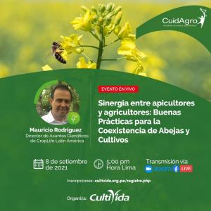 CultiVida realizará webinar “Sinergia entre apicultores y agricultores: Buenas prácticas para la coexistencia de abejas y cultivos”
