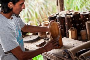 Cusco: con apoyo del Serfor se conforma mesa técnica regional del bambú