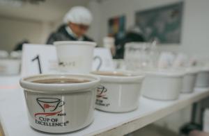 Cusco organiza feria de cafés especiales donde se lucirán las mejores variedades de Perú