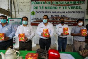 Cusco: productores de té de La Convención cuentan con planta procesadora
