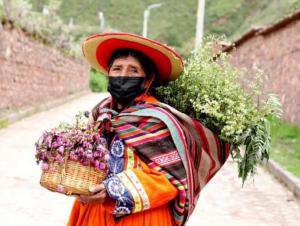 Cusco: resaltan conocimiento de los adultos mayores en propiedades de hierbas medicinales