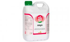 Dalgin (algas marinas + aminoácidos) estimula el crecimiento de plantas de vid