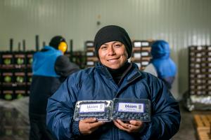 Danper Trujillo evalúa construir una nueva planta para arándanos