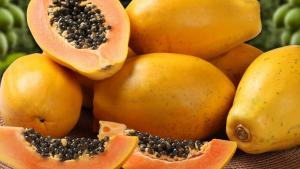De 9000 a  69 toneladas: lecciones de la caída dramática de la exportación ecuatoriana de papaya