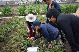 Desarrollan tecnología infrarroja para mejorar gestión del riego en cultivos