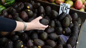 "Desde 2002 al 2018 el  consumo de aguacate en Estados Unidos ha crecido un 250%"