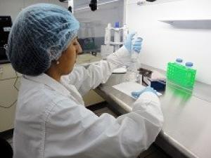 DESIGNAN LABORATORIO PARA DETECCIÓN DE ORGANISMOS VIVOS MODIFICADOS