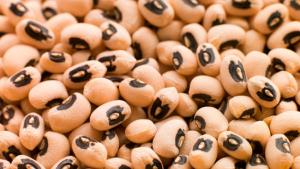 Despachos de frijol castilla peruano sumaron US$ 1.8 millones en el primer trimestre del año