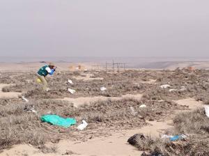 Desperdicios y pasos de vehículos destruyen plantas autóctonas del desierto tacneño