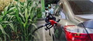 Destacan el rol de la agricultura en la descarbonización del transporte a través de los biocombustibles