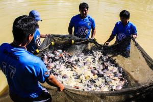 <span class='highlight'></span>D<span class='highlight'></span>E<span class='highlight'></span>S<span class='highlight'></span>T<span class='highlight'></span>I<span class='highlight'></span>N<span class='highlight'></span>A<span class='highlight'></span>N<span class='highlight'></span> <span class='highlight'></span>C<span class='highlight'></span>E<span class='highlight'></span>R<span class='highlight'></span>C<span class='highlight'></span>A<span class='highlight'></span> <span class='highlight'></span>D<span class='highlight'></span>E<span class='highlight'></span> <span class='highlight'></span>S<span class='highlight'></span>/<span class='highlight'></span>.<span class='highlight'></span> <span class='highlight'></span>9<span class='highlight'></span>0<span class='highlight'></span>0<span class='highlight'></span> <span class='highlight'></span>M<span class='highlight'></span>I<span class='highlight'></span>L<span class='highlight'></span> <span class='highlight'></span>P<span class='highlight'></span>A<span class='highlight'></span>R<span class='highlight'></span>A<span class='highlight'></span> <span class='highlight'></span>P<span class='highlight'></span>R<span class='highlight'></span>O<span class='highlight'></span>M<span class='highlight'></span>O<span class='highlight'></span>V<span class='highlight'></span>E<span class='highlight'></span>R<span class='highlight'></span> <span class='highlight'></span>A<span class='highlight'></span>C<span class='highlight'></span>U<span class='highlight'></span>I<span class='highlight'></span>C<span class='highlight'></span>U<span class='highlight'></span>L<span class='highlight'></span>T<span class='highlight'></span>U<span class='highlight'></span>R<span class='highlight'></span>A<span class='highlight'></span> <span class='highlight'></span>E<span class='highlight'></span>N<span class='highlight'></span> <span class='highlight'></span>E<span class='highlight'></span>L<span class='highlight'></span> <span class='highlight'></span>V<span class='highlight'></span>R<span class='highlight'></span>A<span class='highlight'></span>E<span class='highlight'></span>M<span class='highlight'></span>