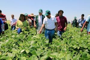 Destinan S/ 256 millones para reactivar el agro afectado por lluvias e inundaciones